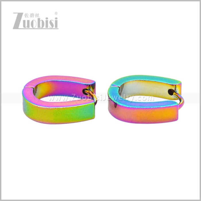 Stainless Steel Earring e003073C