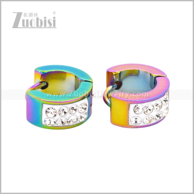 Stainless Steel Earring e003053C