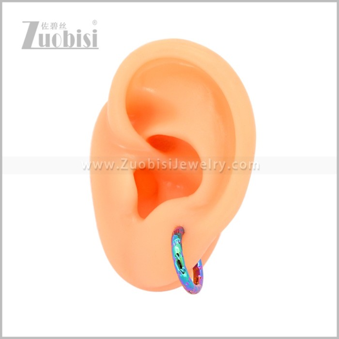Stainless Steel Earring e003045C
