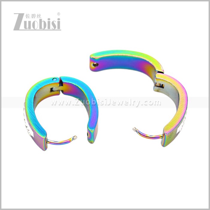 Stainless Steel Earring e003083C
