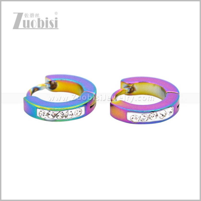 Stainless Steel Earring e003078C1