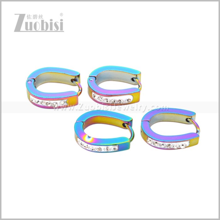 Stainless Steel Earring e003043C2