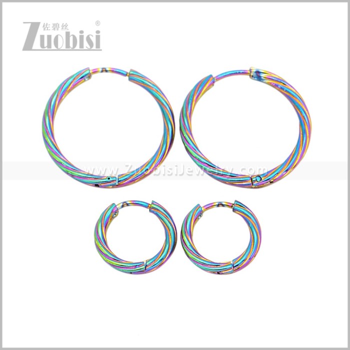 Stainless Steel Earring e003058C2