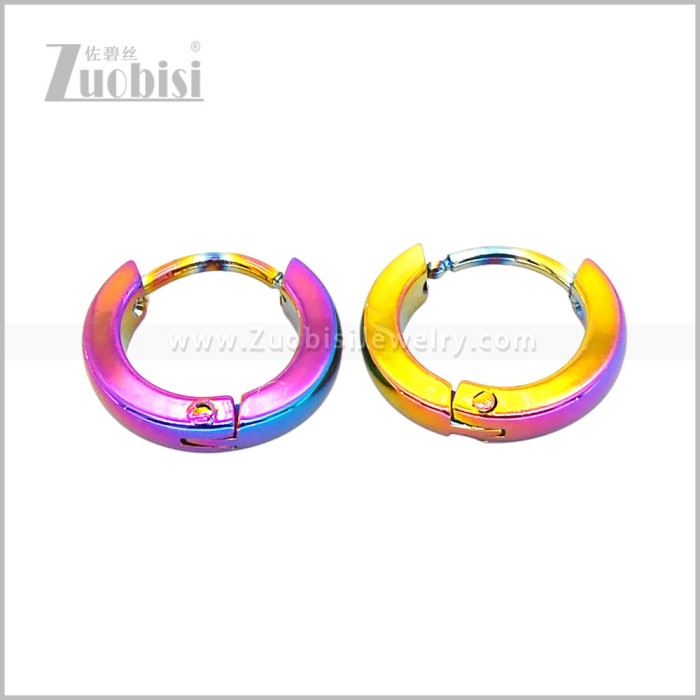Stainless Steel Earring e003076C1