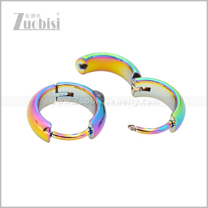 Stainless Steel Earring e003059C3