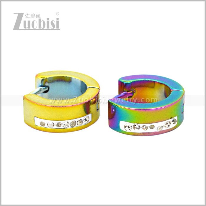 Stainless Steel Earring e003077C2
