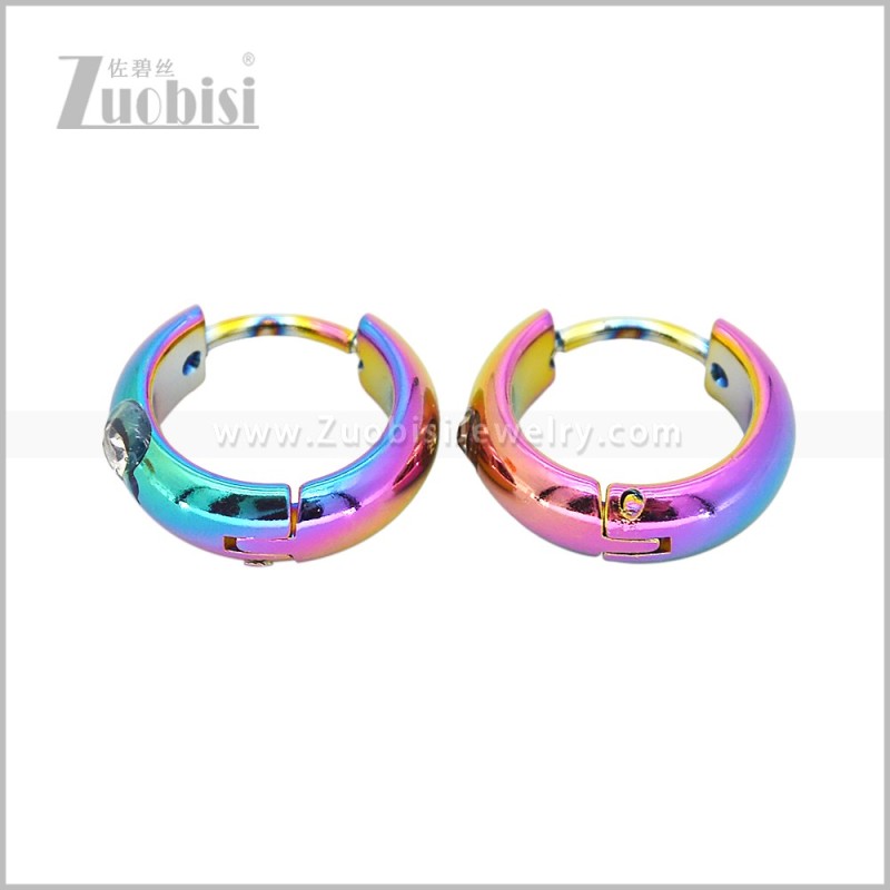 Stainless Steel Earring e003059C3