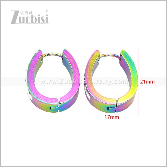 Stainless Steel Earring e003083C