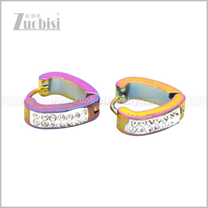 Stainless Steel Earring e003082C