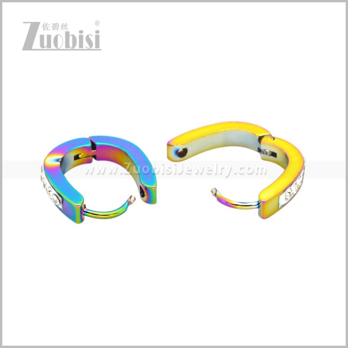 Stainless Steel Earring e003043C1