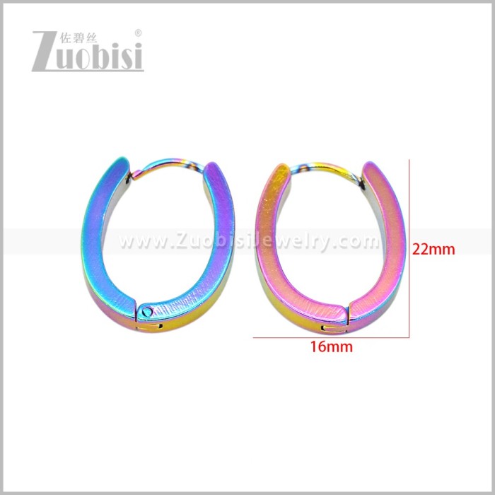 Stainless Steel Earring e003046C