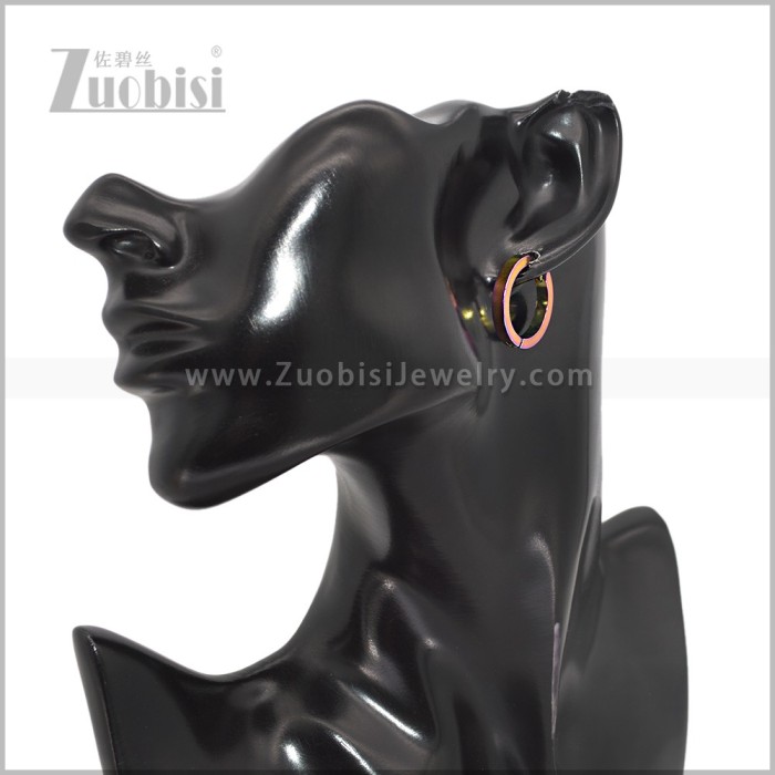Stainless Steel Earring e003061C2