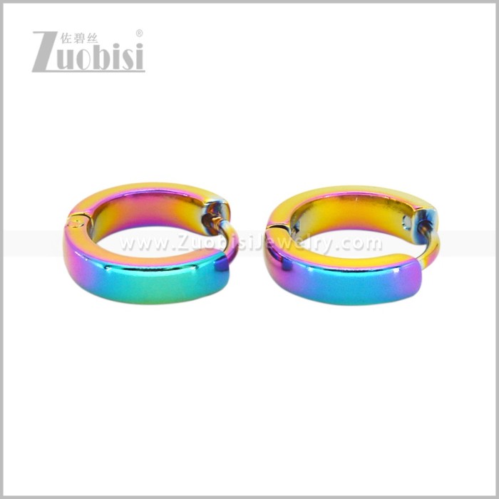Stainless Steel Earring e003068C2