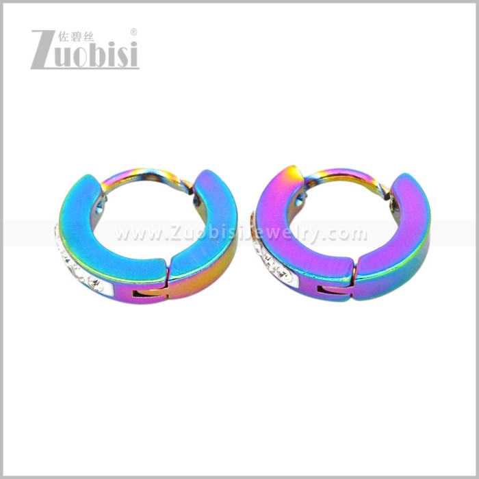 Stainless Steel Earring e003078C1
