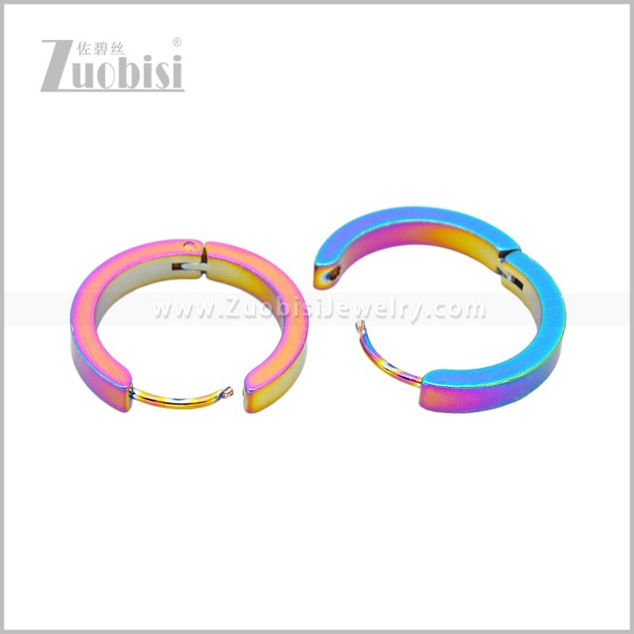 Stainless Steel Earring e003061C1