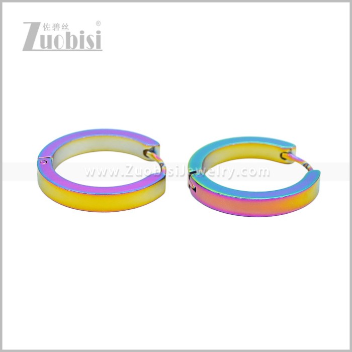 Stainless Steel Earring e003061C2