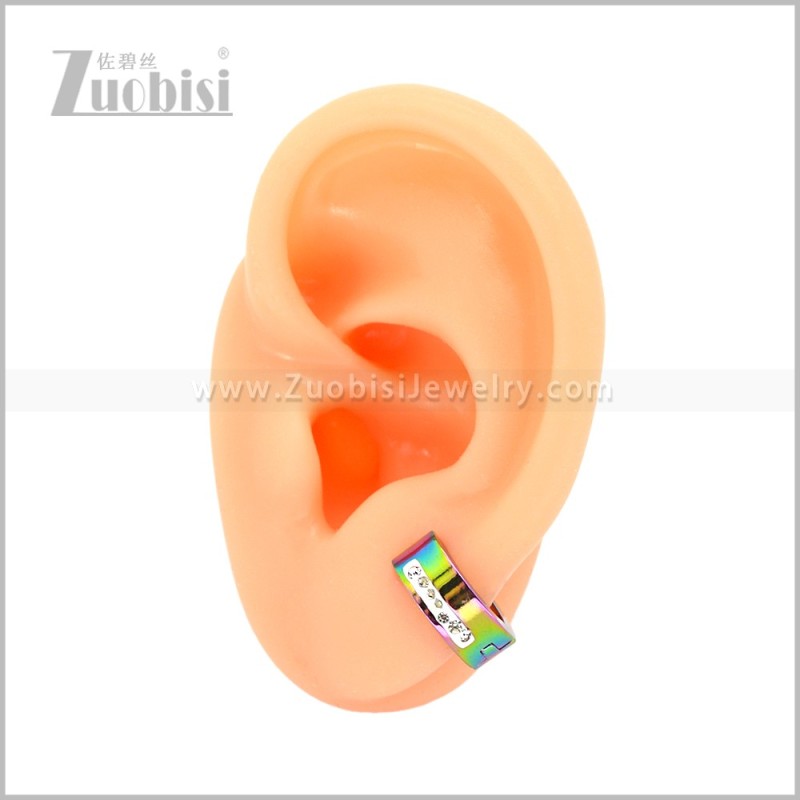 Stainless Steel Earring e003077C2