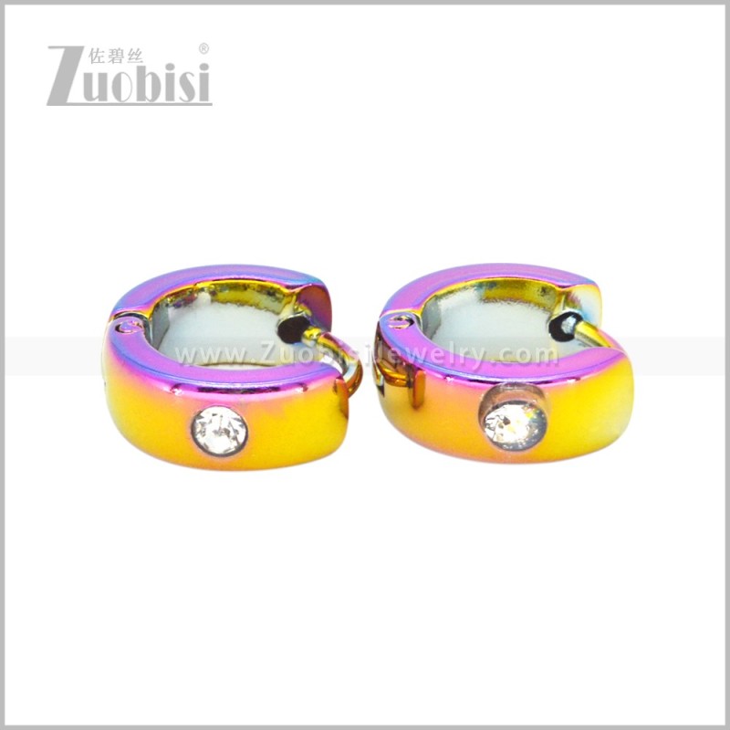 Stainless Steel Earring e003039C1