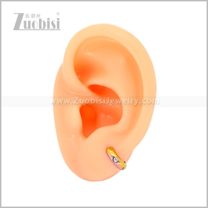 Stainless Steel Earring e003059C1