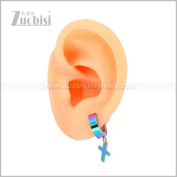 Stainless Steel Earring e003050C