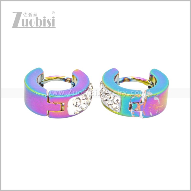 Stainless Steel Earring e003041C