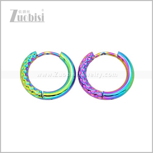 Stainless Steel Earring e003044C1