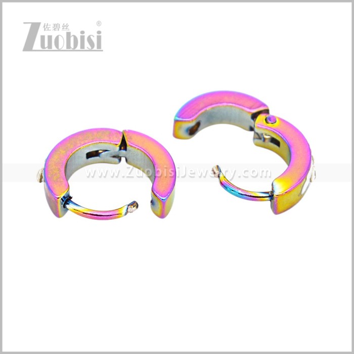 Stainless Steel Earring e003064C1