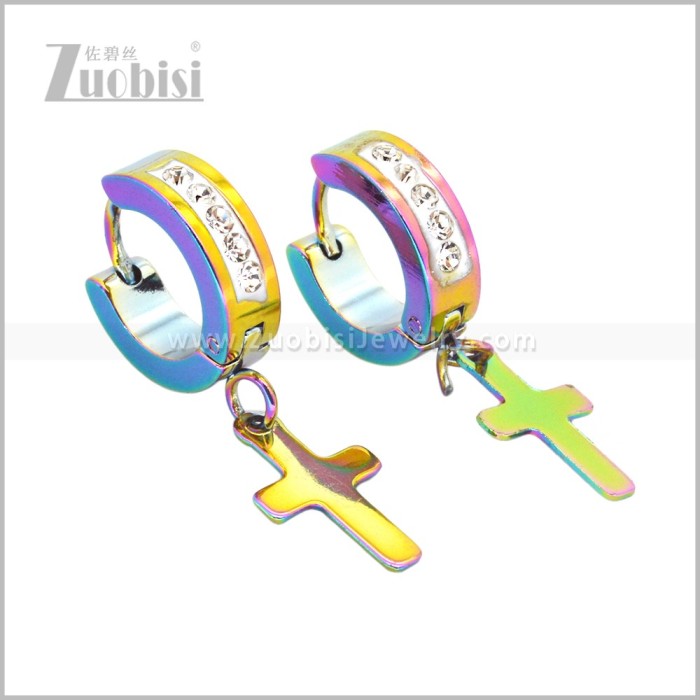Stainless Steel Earring e003048C2