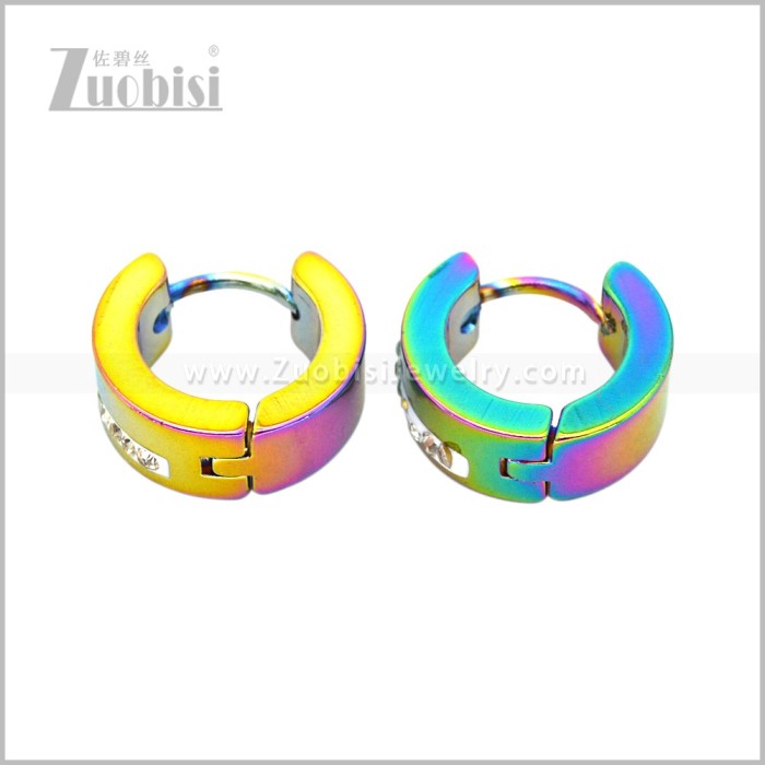 Stainless Steel Earring e003077C2