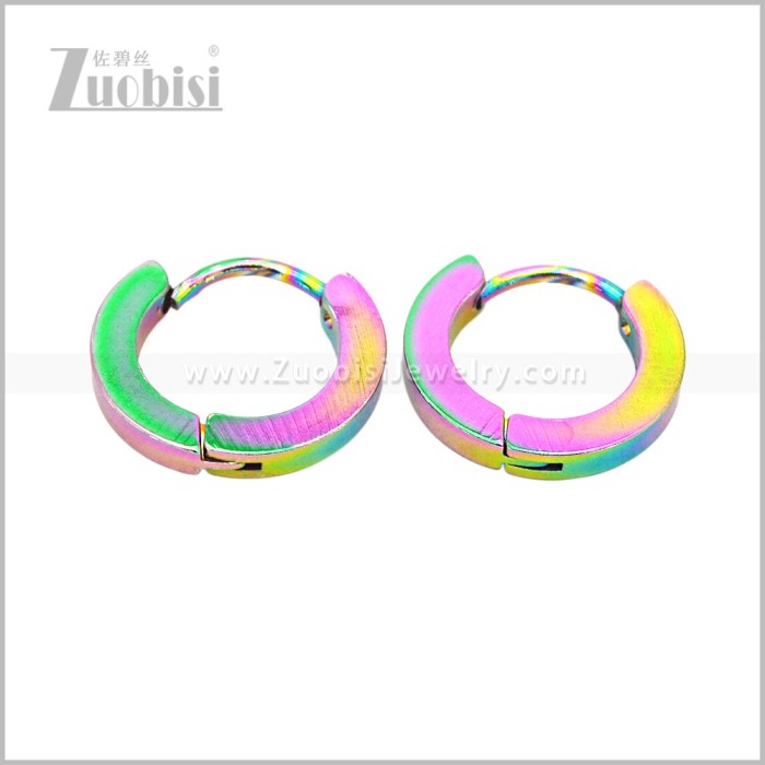 Stainless Steel Earring e003062C2