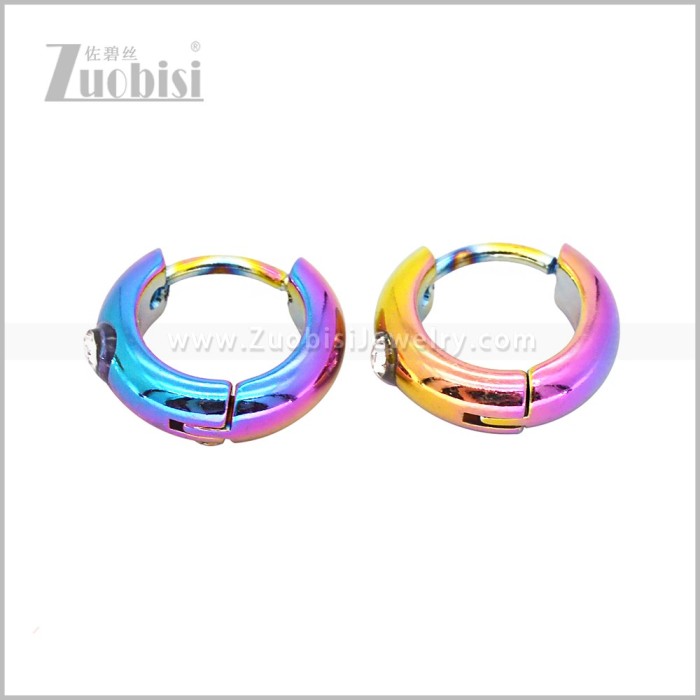 Stainless Steel Earring e003059C1