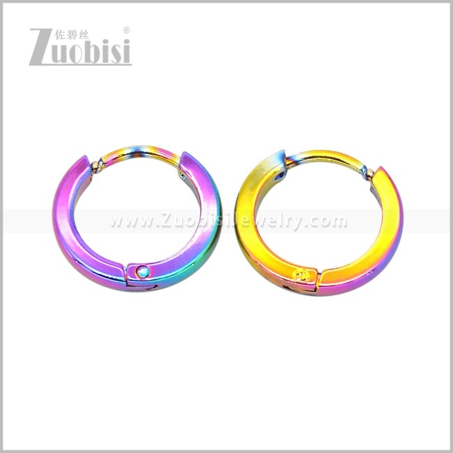 Stainless Steel Earring e003076C2