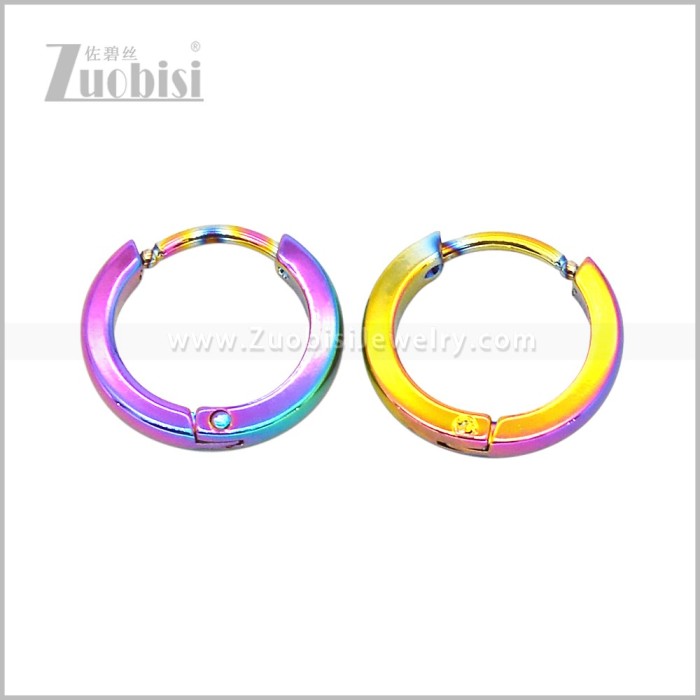 Stainless Steel Earring e003076C2
