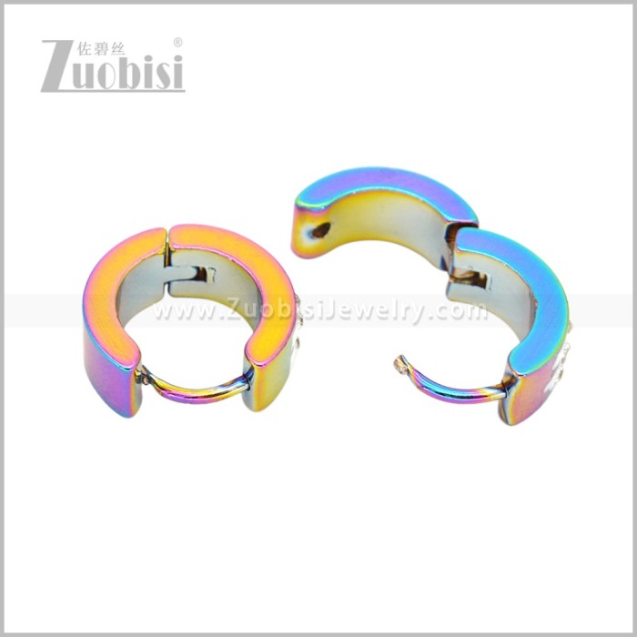 Stainless Steel Earring e003060C2