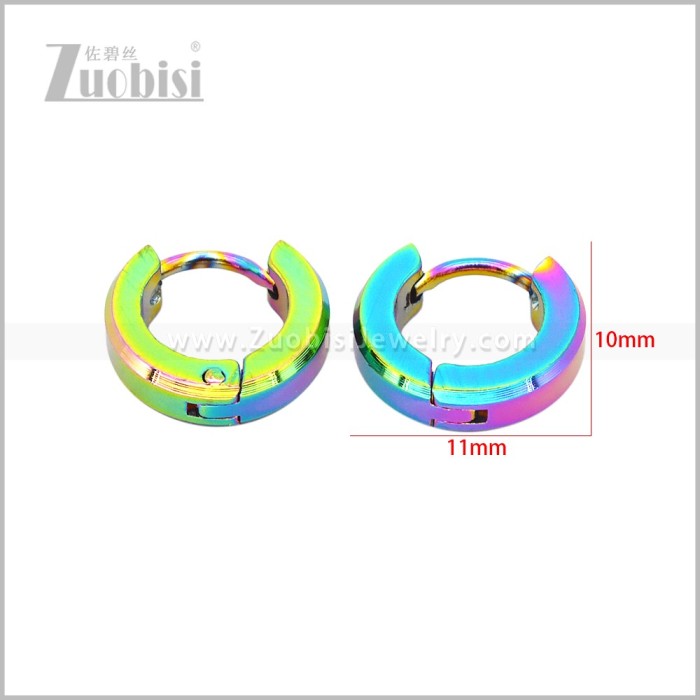 Stainless Steel Earring e003079C