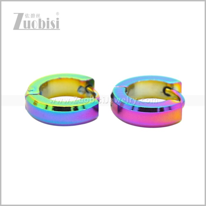 Stainless Steel Earring e003079C