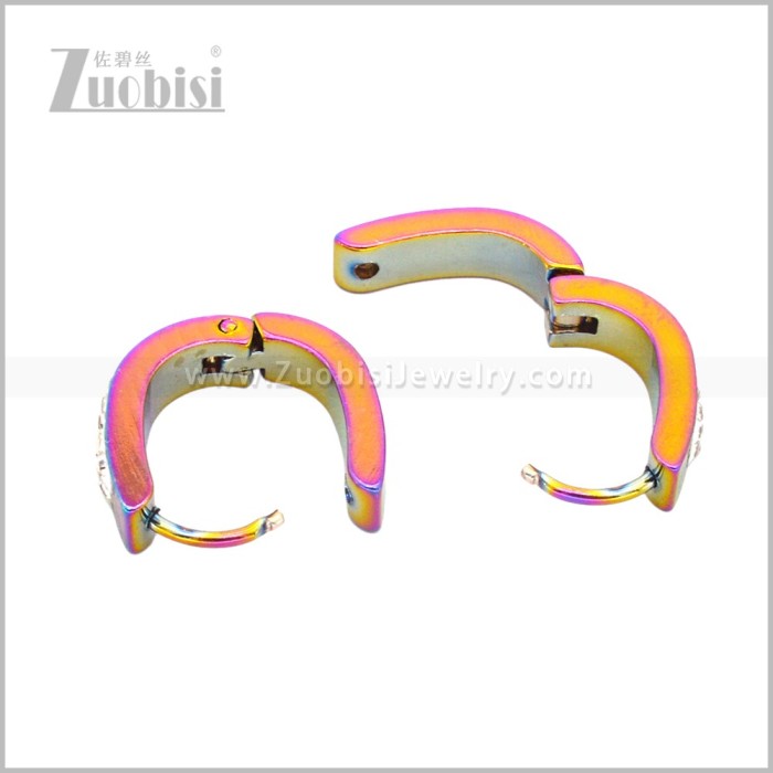 Stainless Steel Earring e003084C