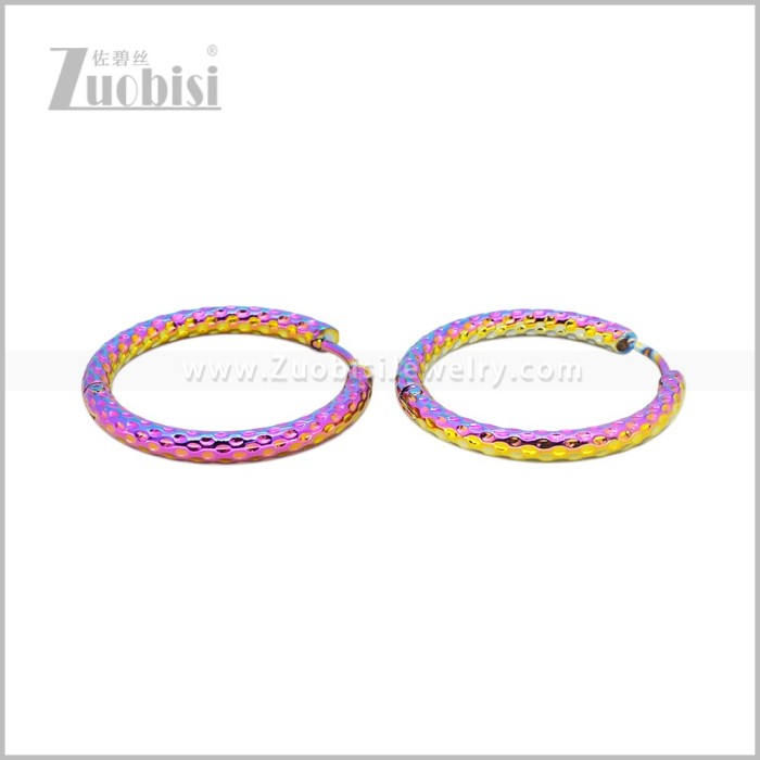 Stainless Steel Earring e003040C