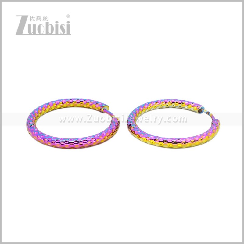 Stainless Steel Earring e003040C