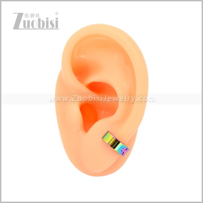 Stainless Steel Earring e003062C5