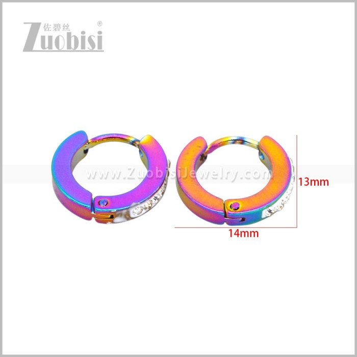 Stainless Steel Earring e003078C2
