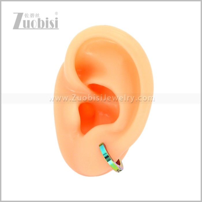 Stainless Steel Earring e003062C2