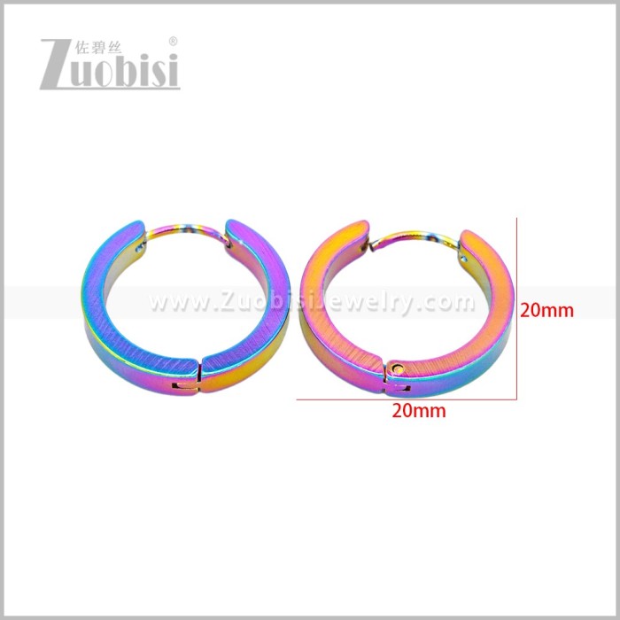 Stainless Steel Earring e003061C1