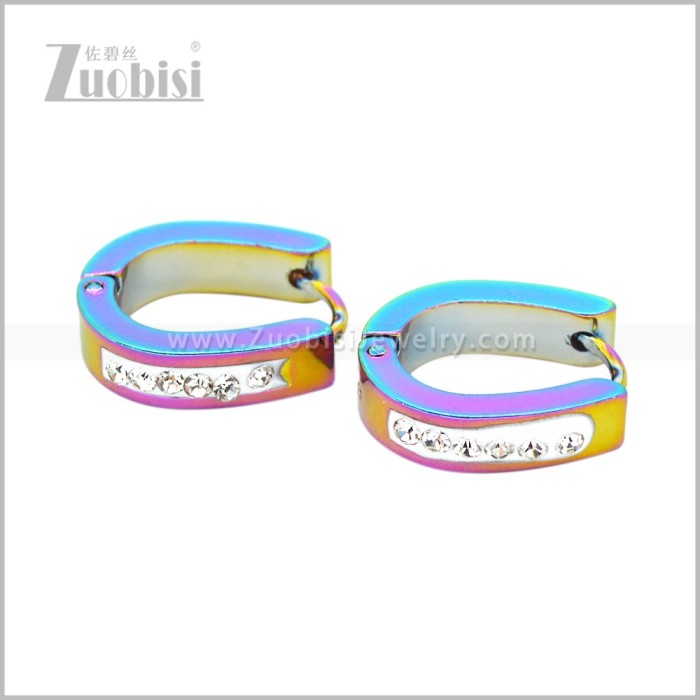 Stainless Steel Earring e003043C2