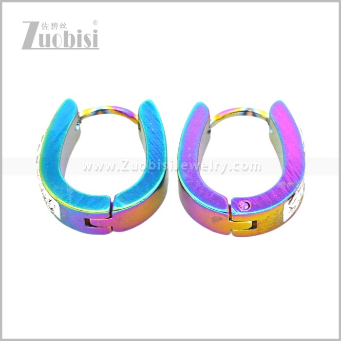 Stainless Steel Earring e003084C