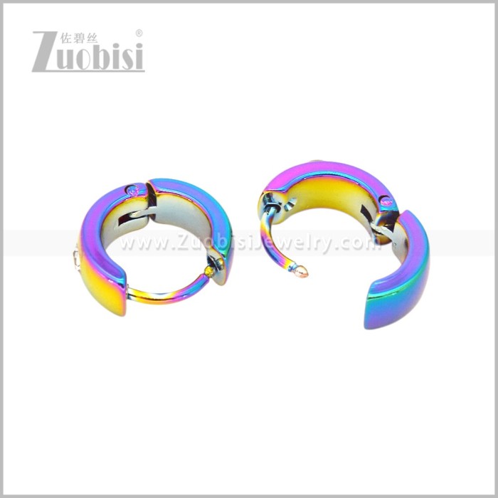 Stainless Steel Earring e003039C1