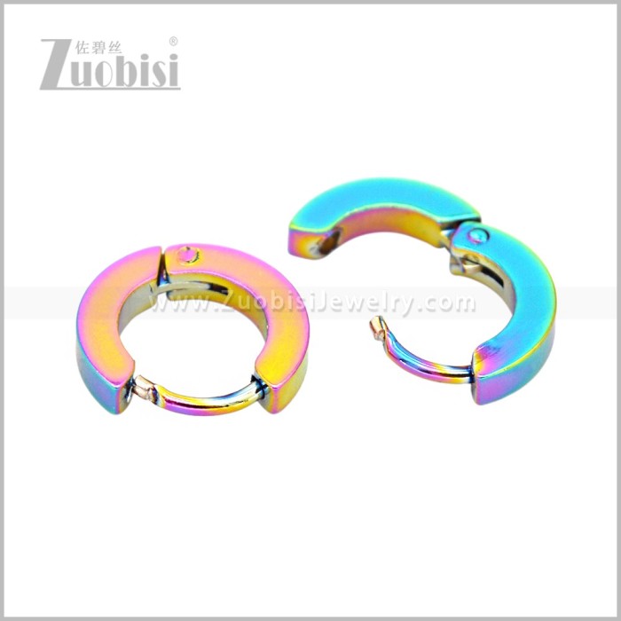 Stainless Steel Earring e003062C1