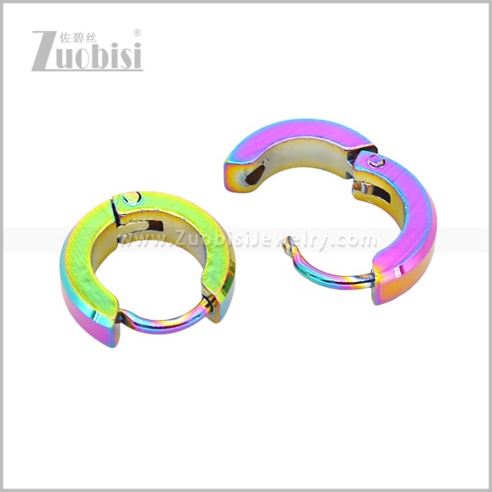 Stainless Steel Earring e003079C