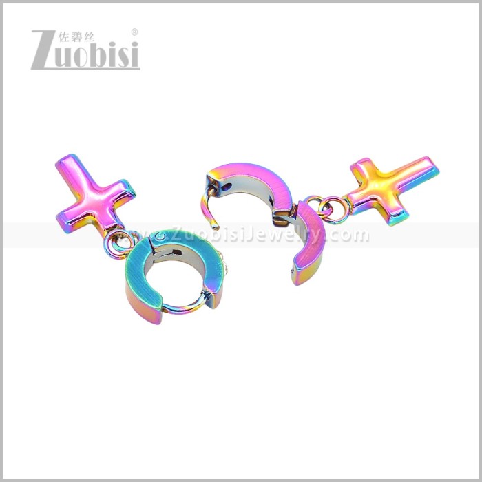 Stainless Steel Earring e003081C2