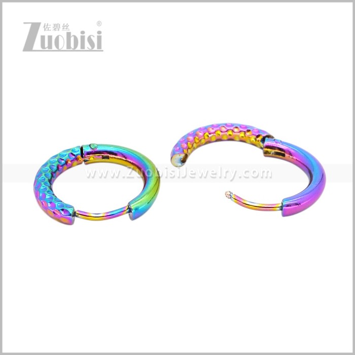 Stainless Steel Earring e003044C1